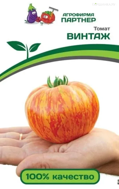 Томат Винтаж 10 шт. Семена Партнер