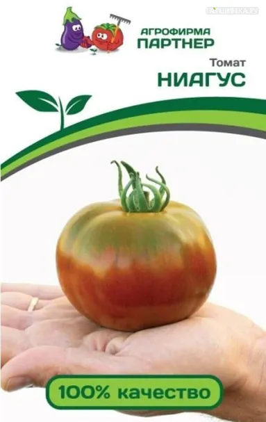 Томат Ниагус 10 шт. Партнер