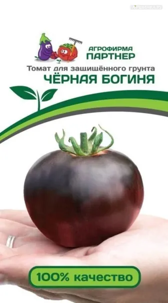 Томат Чёрная Богиня 10 шт. Партнер