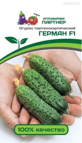 Огурец партенокарпический Герман F1 5 шт. Партнер