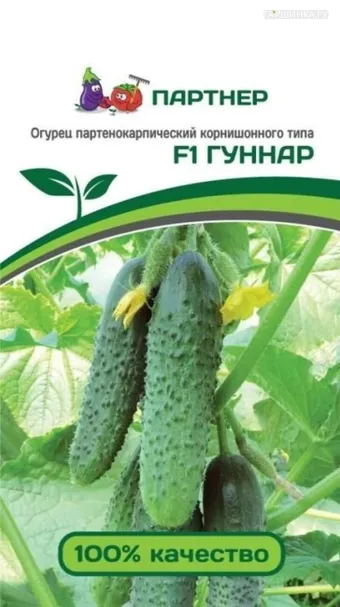 Огурец партенокарпический Гуннар F1 5 шт. Партнер