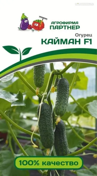 Огурец партенокарпический Кайман F1  10 шт. Партнер