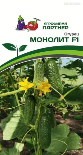 Огурец партенокарпический Монолит F1 5 шт. Партнер