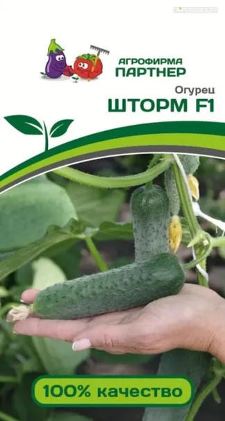 Огурец Шторм F1 10 шт. Семена Партнер
