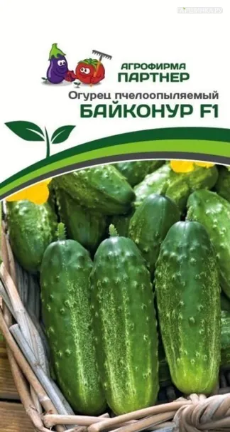 Огурец пчелоопыляемый Байконур F1 1 гр. Партнер