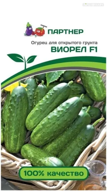 Огурец пчелоопыляемый Виорел F1 0,5 гр. Партнер