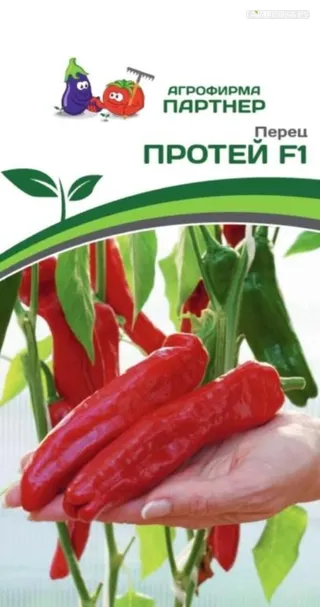 Перец сладкий Протей F1 5 шт. Партнер