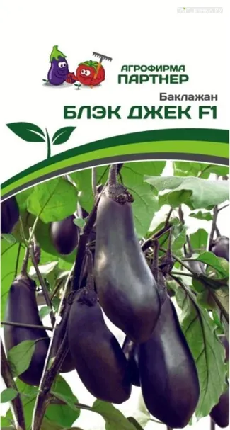 Баклажан Блэк Джек F1 10 шт, Семена Партнер