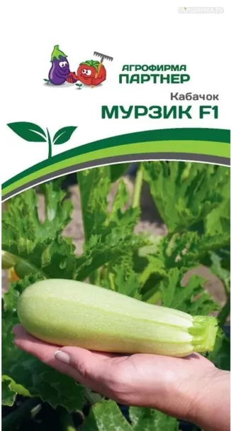 Кабачок Мурзик F1 5 шт. Семена Партнер