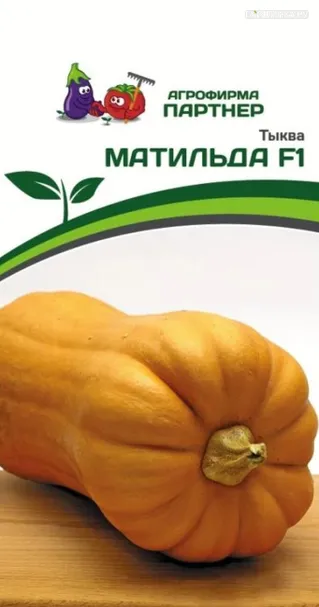 Тыква Матильда F1 5 шт. Семена Партнер