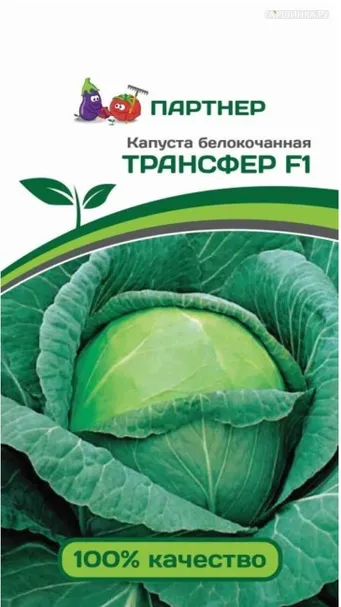 Капуста Трансфер белокочанная раннеспелая F1 0,2 г. Семена Партнер