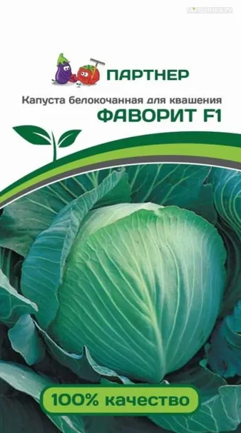 Капуста Фаворит F1 белокочанная среднепоздняя (для квашения) 0,2 г. Семена Партнер