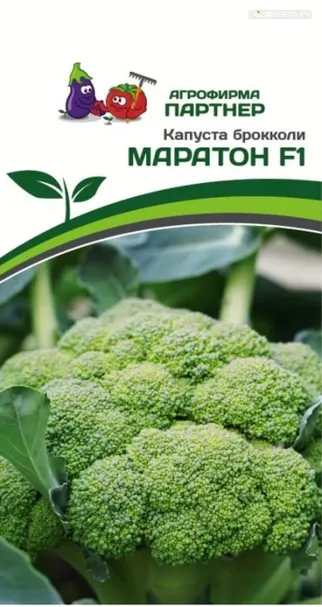 Брокколи Маратон F1 10 шт. Семена Партнер