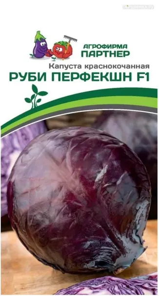 Краснокочанная капуста Руби Перфекшн F1 10 шт. Семена Партнер