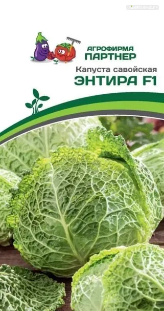 Савойская капуста Энтира F1 0,05 г. Семена Партнер