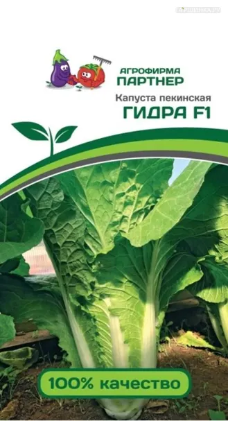 Пекинская капуста Гидра F1 0,5 г. Семена Партнер