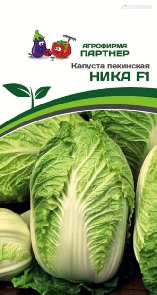 Пекинская капуста Ника F1 0,5 г. Семена Партнер