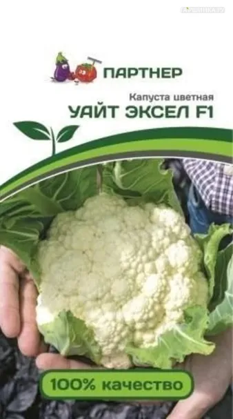 Цветная капуста Уайт Эксель F1 10 шт. Семена Партнер