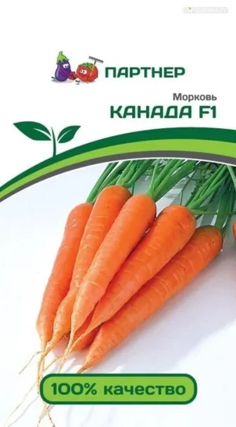 Морковь Канада F1 0,5 г, Семена Партнер
