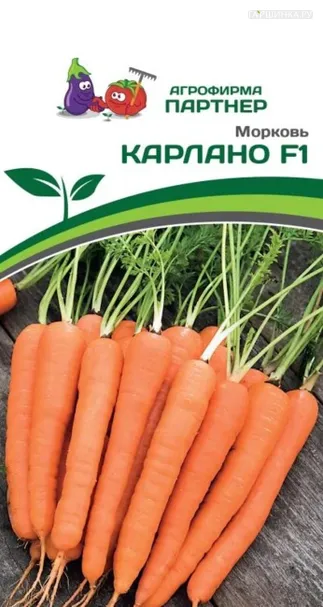 Морковь Карлано F1 0,5 гр. Партнер