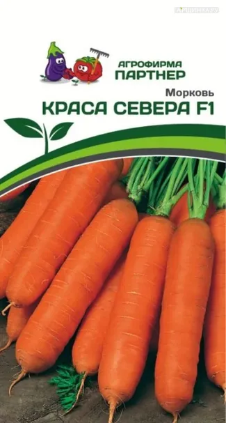 Морковь Краса Севера F1 0,5 г, Семена Партнер