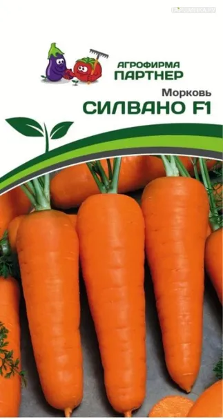 Морковь Силвано F1 0,5 гр. Партнер