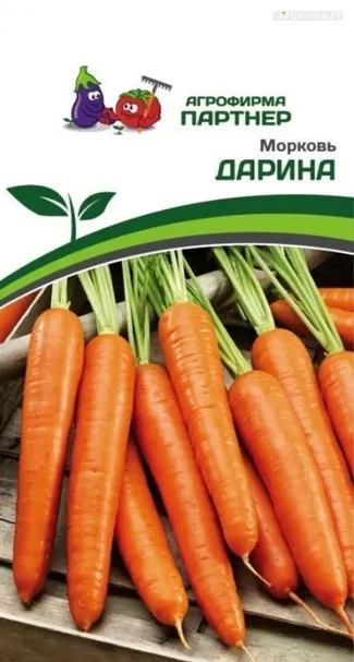 Морковь Дарина 1 гр. Партнер