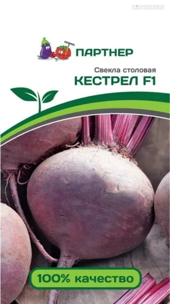 Свекла столовая Кестрел F1 1 гр. Партнер