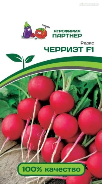 Редис Черриэт F1 1 гр. Партнер