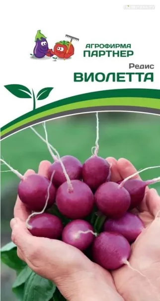 Редис Виолетта 2 гр. Партнер
