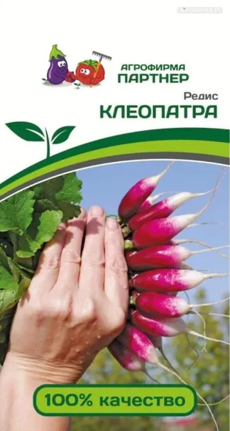 Редис Клеопатра 2 гр. Партнер