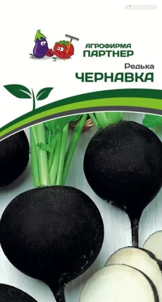 Редька Чернавка 3 г. Семена Партнер