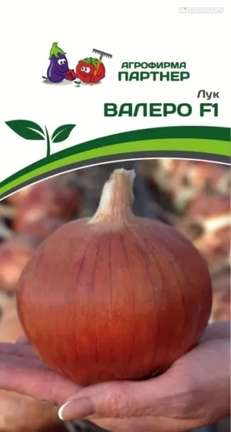Лук репчатый Валеро F1 0,5 гр. Партнер