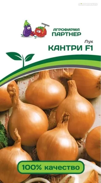 Лук репчатый Кантри F1 0,5 гр. Партнер