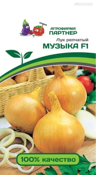 Лук репчатый Музыка F1 0,5 гр. Партнер