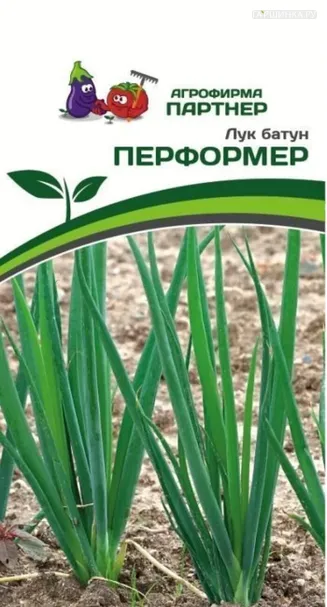 Лук Батун Перформер 1 г. Семена Партнер