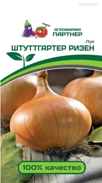 Лук репчатый Штуттгартер Ризен 1 гр. Партнер