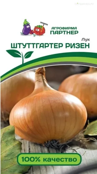 Лук репчатый Штуттгартер Ризен 1 гр. Партнер