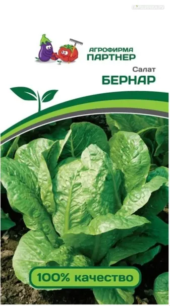 Салат Бернар кочанный 0,5 г, Семена Партнер