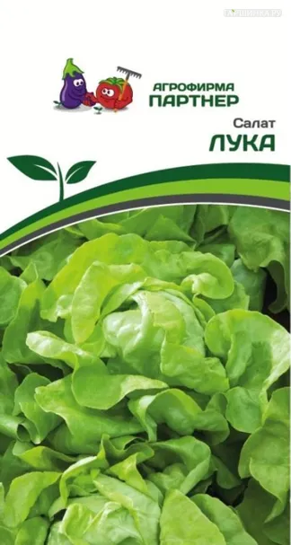 Салат Лука кочанный 1 г, Семена Партнер