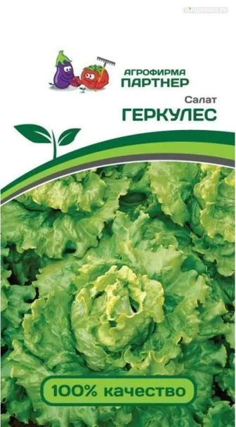 Салат Геркулес листовой 0,5 г, Семена Партнер