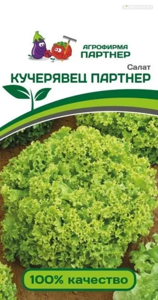 Салат Кучерявец листовой 1 г, Семена Партнер