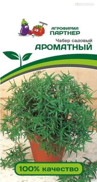 Чабер Ароматный садовый 0,5 г. Семена Партнер