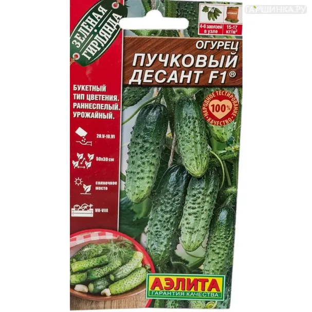 Огурец Пучковый десант F1 0,3 шт Ц/П Аэлита