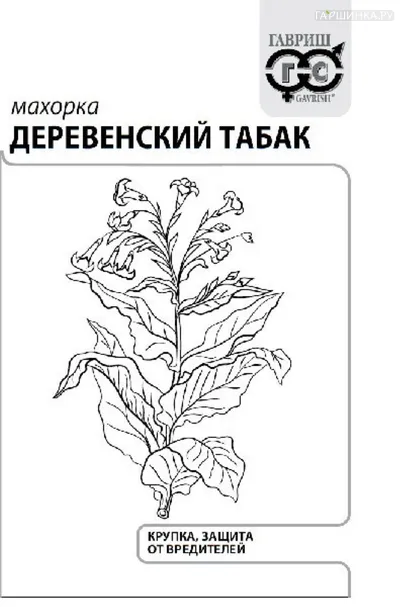 Махорка Деревенский табак 0,01 г ЦП Семена Гавриш