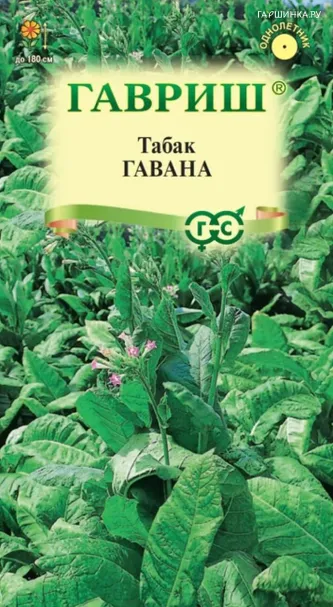 Табак Гавана розовоцветковый курительный 0,01 г ЦП, Семена Гавриш