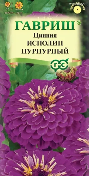 Цинния Исполин пурпурный 0,3 г ЦП, Семена Гавриш