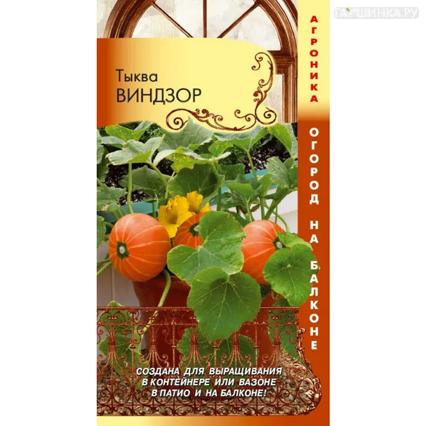 Тыква Виндзор 3 шт, Плазменные семена