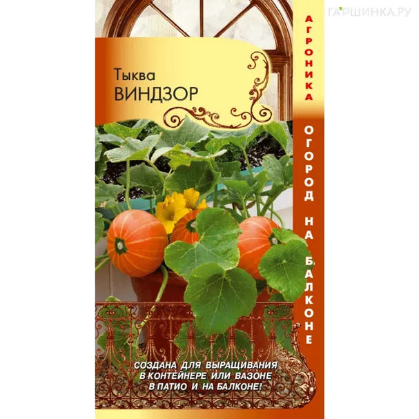 Тыква Виндзор 3 шт, Плазменные семена
