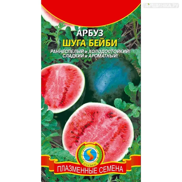 Арбуз Шуга Бейби 1 г, Плазменные семена